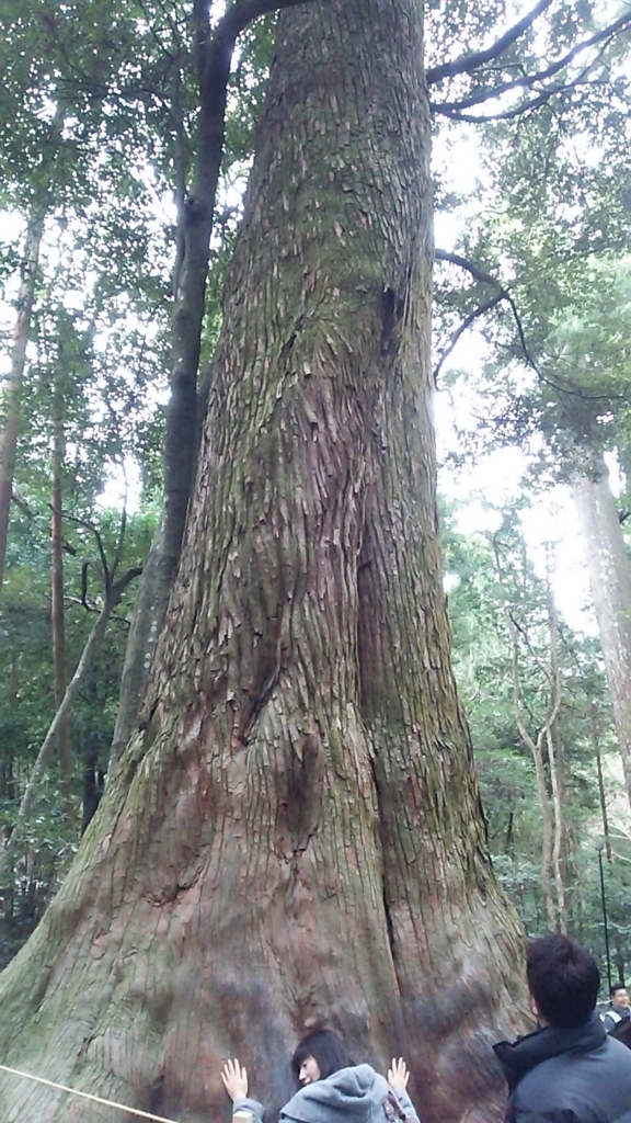 f:id:cataway25:20160125000721j:plain