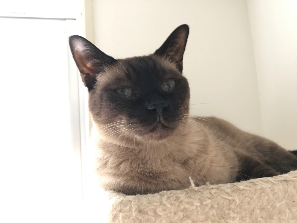 f:id:cataway25:20170918145210j:plain f:id:cataway25:20170918145210j:plain