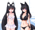 20190106011329