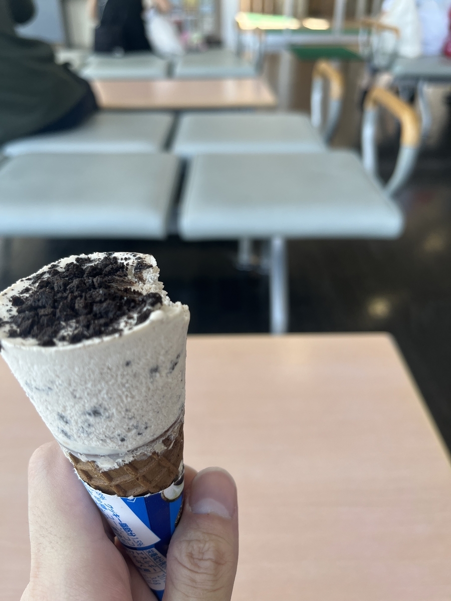 チョコクッキー味のセブンティーンアイスを片手に持っている写真。