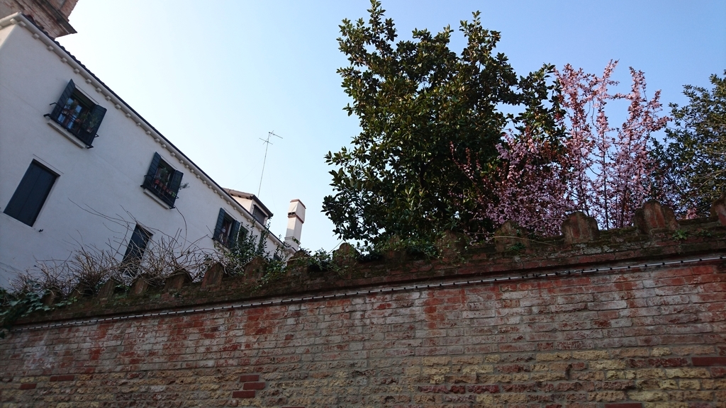 f:id:catemos:20190311174412j:plain