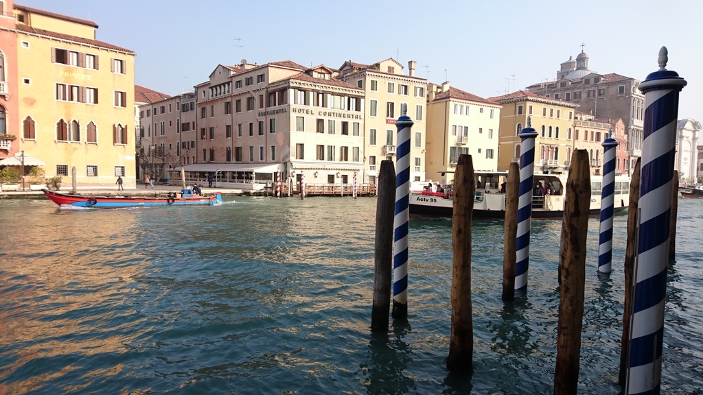 f:id:catemos:20190311174423j:plain