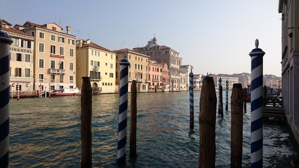 f:id:catemos:20190311174426j:plain