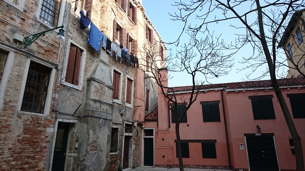 f:id:catemos:20190311174528j:plain