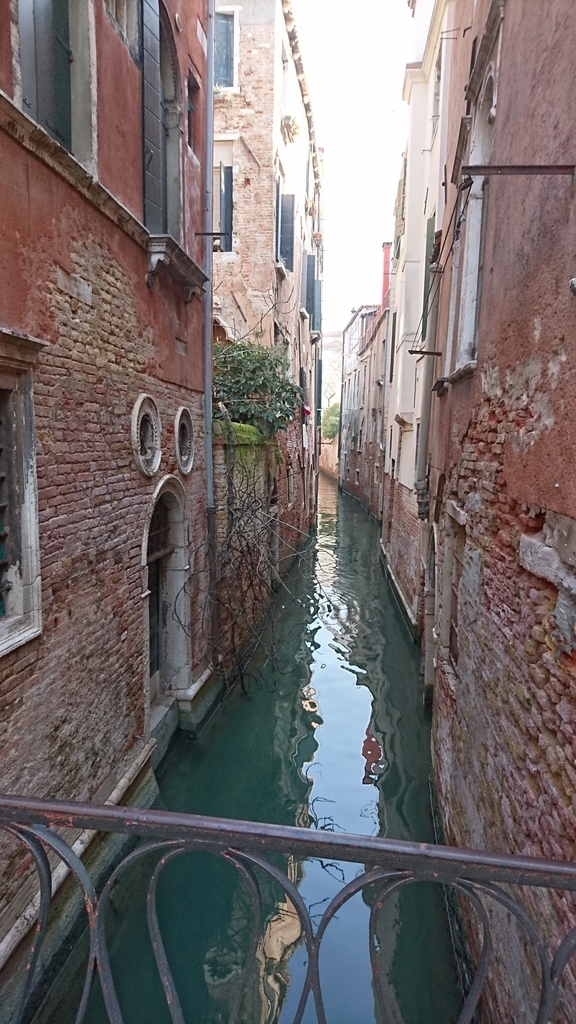 f:id:catemos:20190311174550j:plain