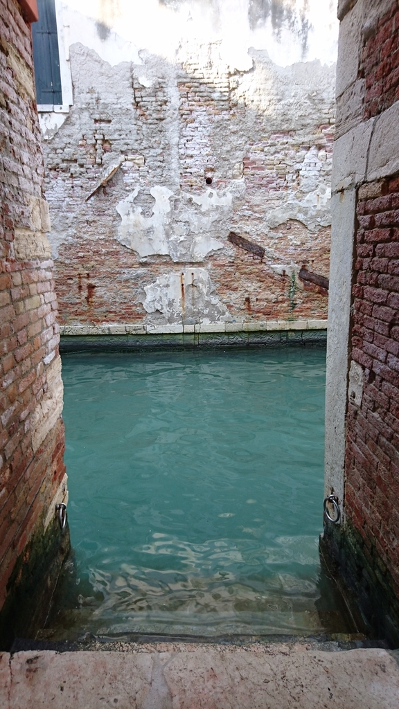 f:id:catemos:20190311174600j:plain