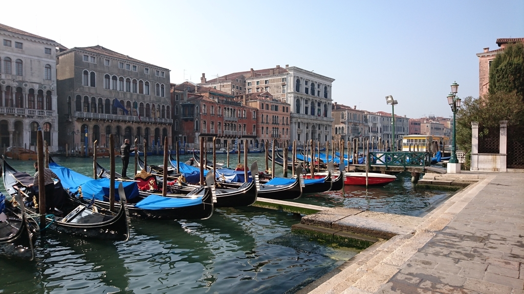 f:id:catemos:20190311174646j:plain