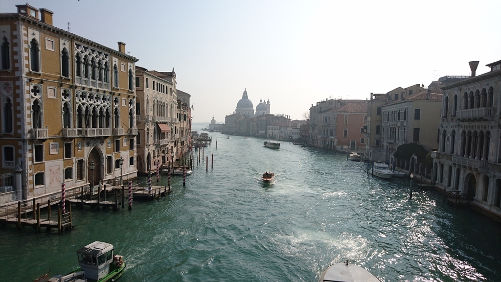 f:id:catemos:20190311174751j:plain