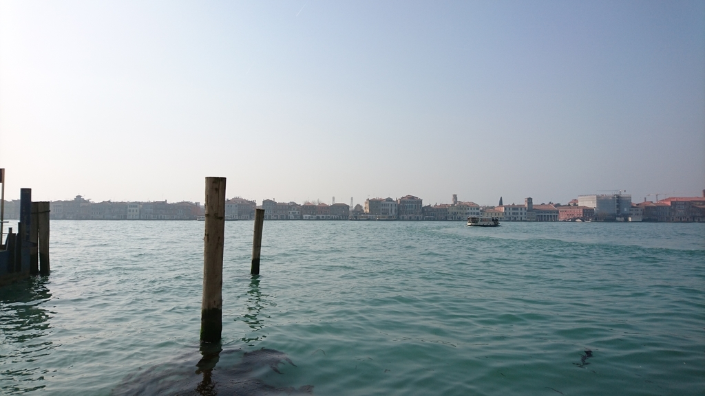 f:id:catemos:20190311174831j:plain