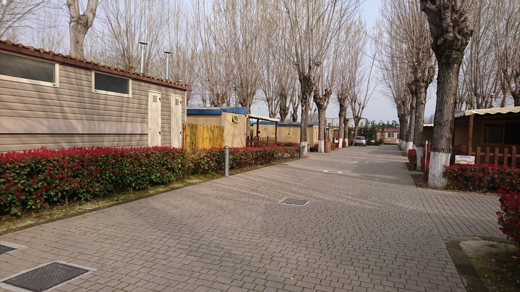 f:id:catemos:20190311175436j:plain