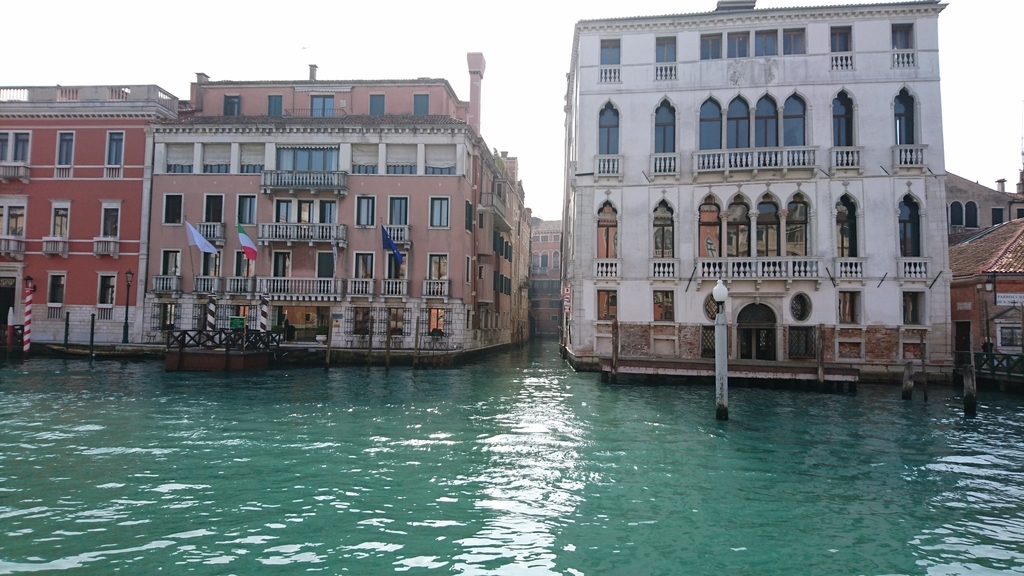 f:id:catemos:20190313151634j:plain