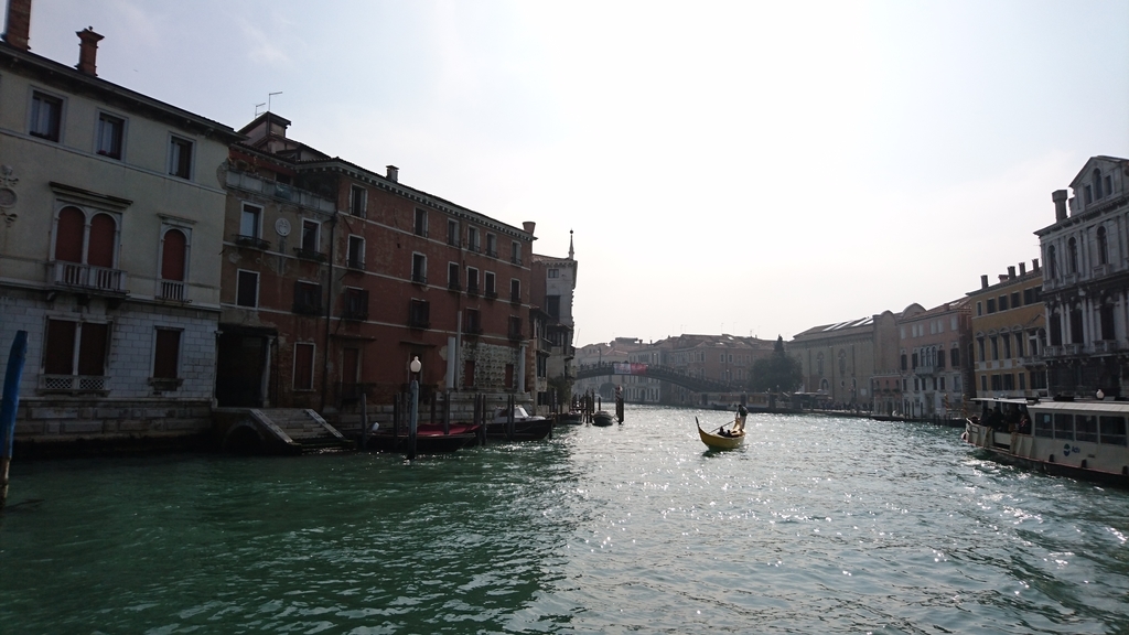 f:id:catemos:20190313151645j:plain