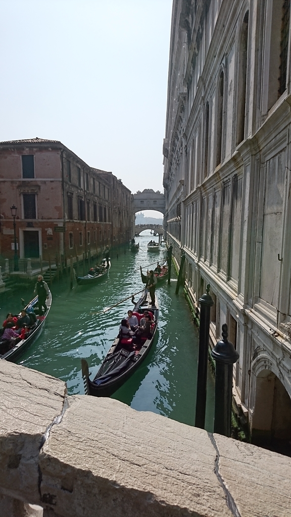 f:id:catemos:20190313151750j:plain