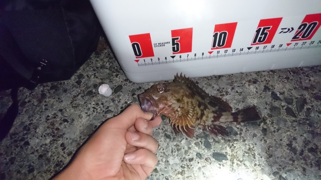 福浦岸壁メバリング 18 5 6 Gw 初心者が１人で釣りに挑戦するブログ