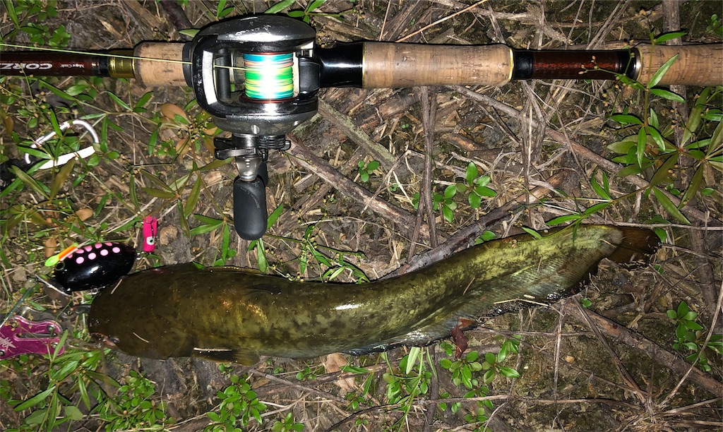 ナマズ様専用 ナマズ様専用1⁄18 ウィリアムズ FW16 ウェザリング