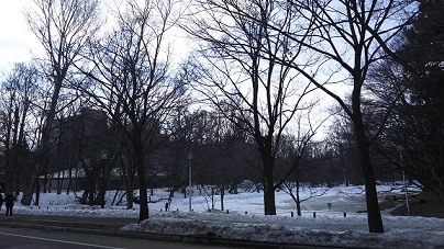 f:id:catherine-roseway:20190310222025j:plain f:id:catherine-roseway:20190310222025j:plain