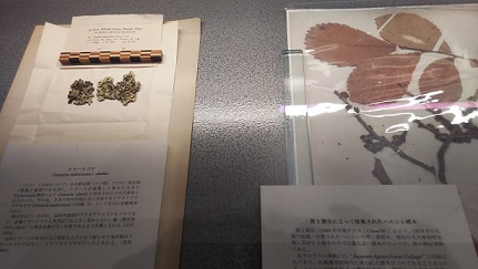 f:id:catherine-roseway:20190313232503j:plain f:id:catherine-roseway:20190313232503j:plain