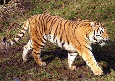 f:id:catherine_yanagi:20170326011657p:plain f:id:catherine_yanagi:20170326011657p:plain