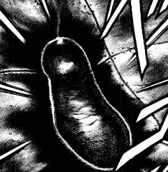 f:id:catherine_yanagi:20170806154654p:plain