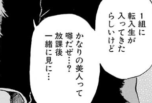 f:id:catherine_yanagi:20181011230418p:plain f:id:catherine_yanagi:20181011230418p:plain