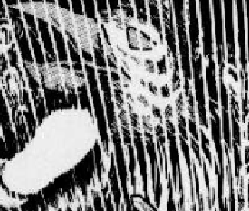 f:id:catherine_yanagi:20190614001227p:plain