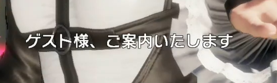 f:id:catherine_yanagi:20190623221634p:plain