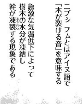 f:id:catherine_yanagi:20190825225635p:plain