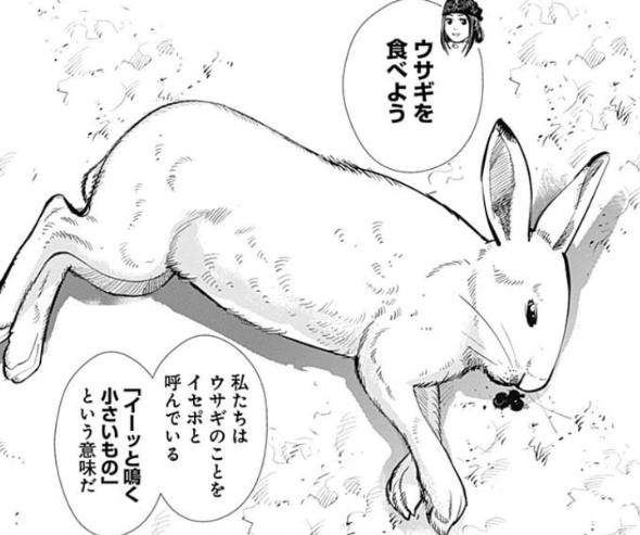 f:id:catherine_yanagi:20190826004219p:plain