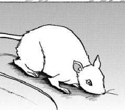 f:id:catherine_yanagi:20191230005432p:plain