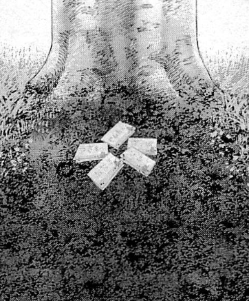 f:id:catherine_yanagi:20200805201444p:plain