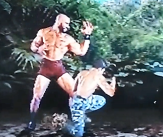 f:id:catherine_yanagi:20200829012555p:plain