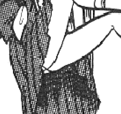 f:id:catherine_yanagi:20201027002537p:plain f:id:catherine_yanagi:20201027002537p:plain