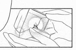 f:id:catherine_yanagi:20210112000309p:plain