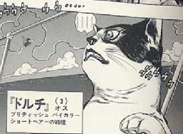 f:id:catherine_yanagi:20210503175246p:plain