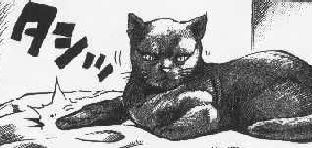 f:id:catherine_yanagi:20210503210159p:plain