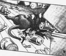 f:id:catherine_yanagi:20210503212432p:plain