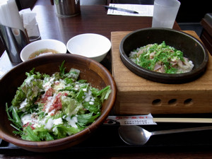 f:id:catkicker001:20100626083749j:image