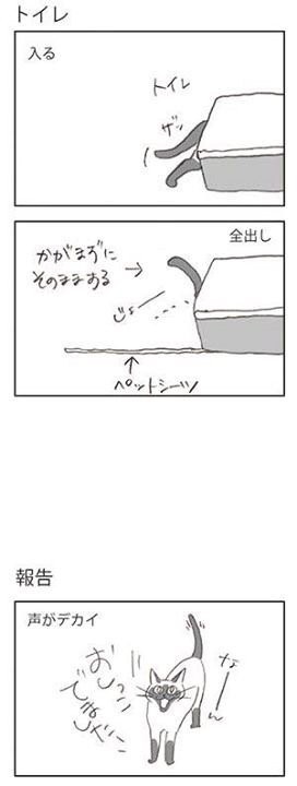 f:id:catkicker001:20170510232515j:plain