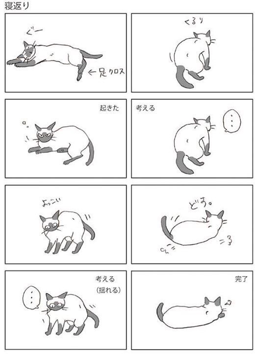 f:id:catkicker001:20170510232516j:plain