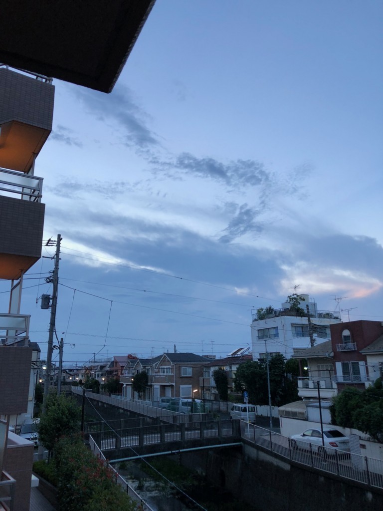 f:id:catkicker001:20180710190121j:plain