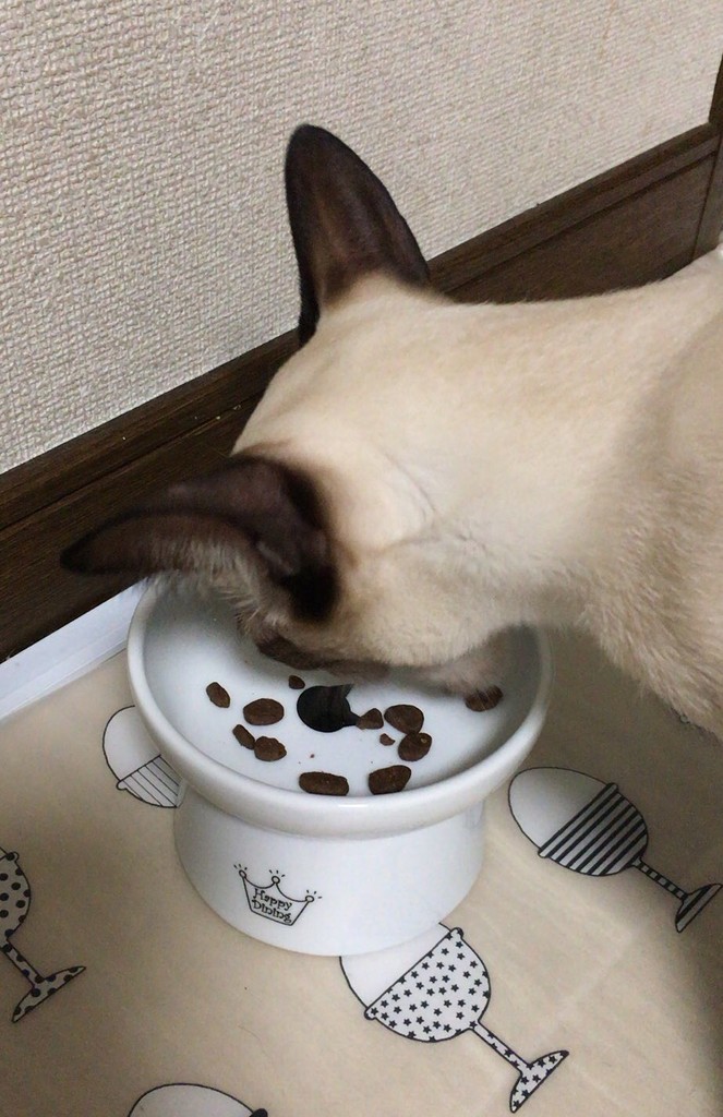 f:id:catkicker001:20180902233540j:plain