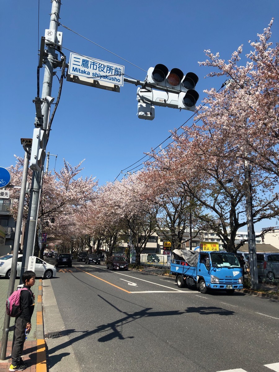 f:id:catkicker001:20190413133706j:plain