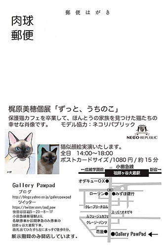 f:id:catkicker001:20190823231902j:plain