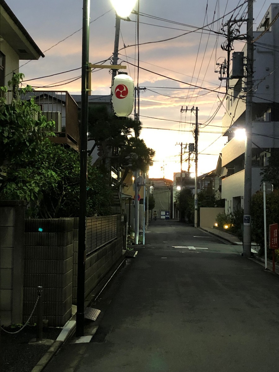 f:id:catkicker001:20190830182409j:plain