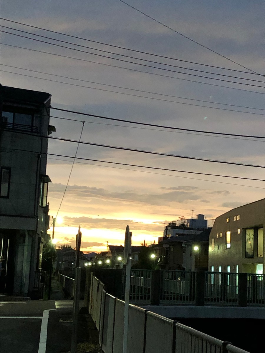 f:id:catkicker001:20190830182925j:plain
