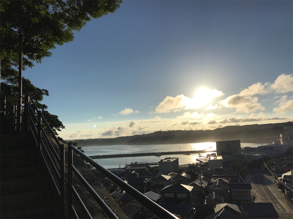 f:id:catoonu:20200703142243j:image f:id:catoonu:20200703142243j:image