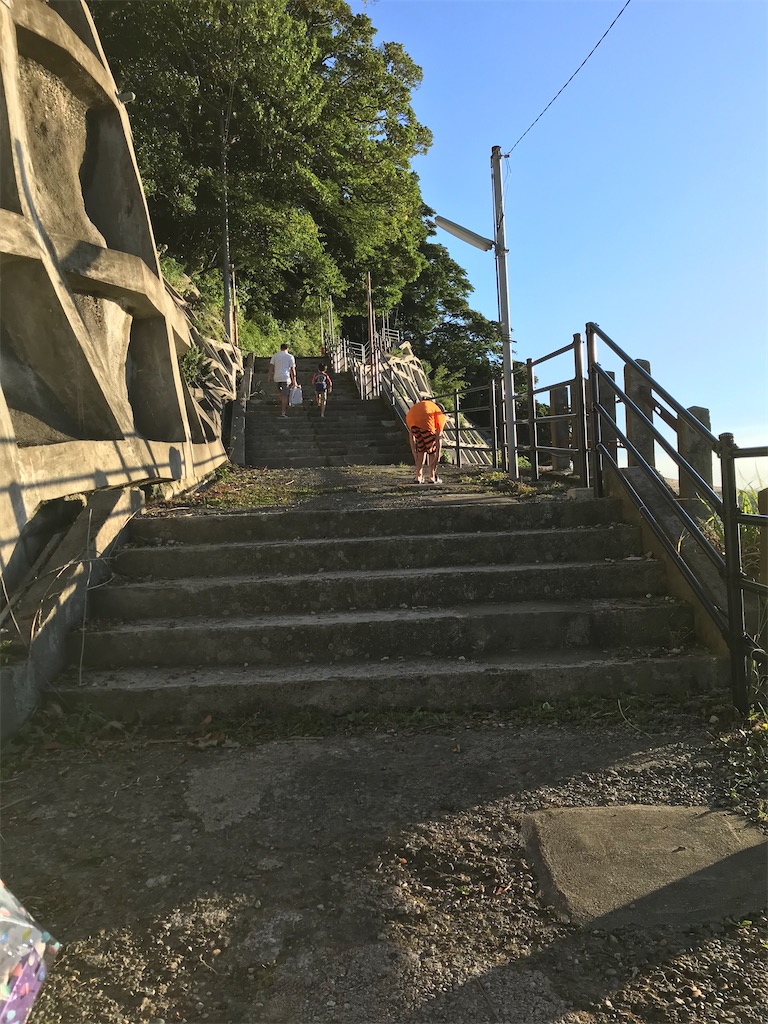 f:id:catoonu:20200703142337j:image f:id:catoonu:20200703142337j:image