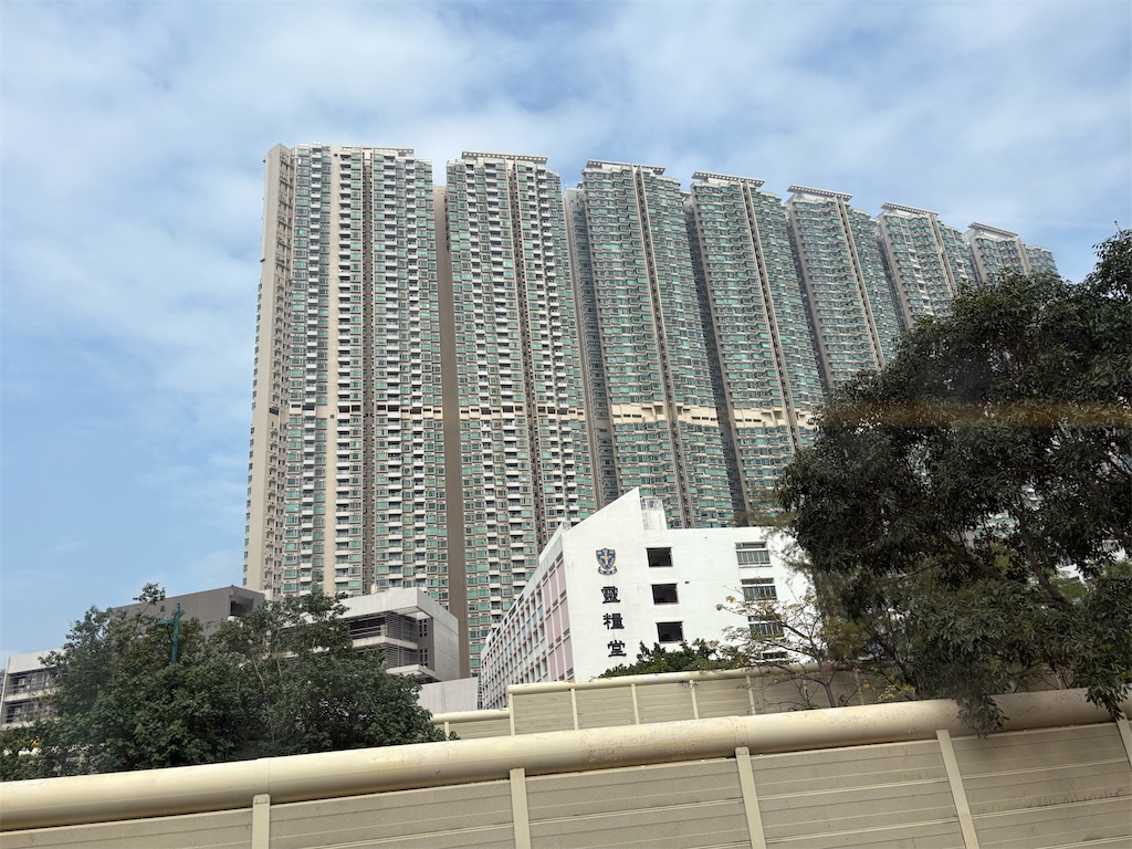 f:id:catoonu:20251208111324j:image
