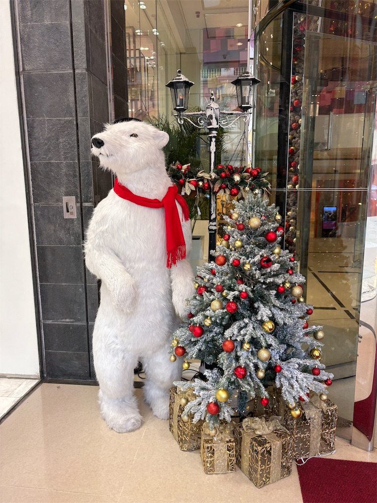f:id:catoonu:20251208112742j:image