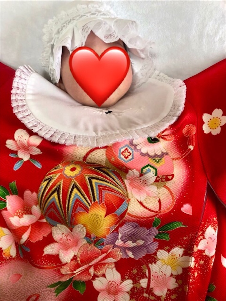 f:id:catowl:20190120135342j:image f:id:catowl:20190120135342j:image
